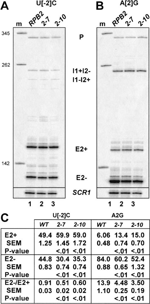 FIGURE 4.