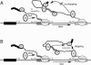 FIGURE 8.