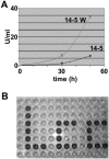 FIG. 3.