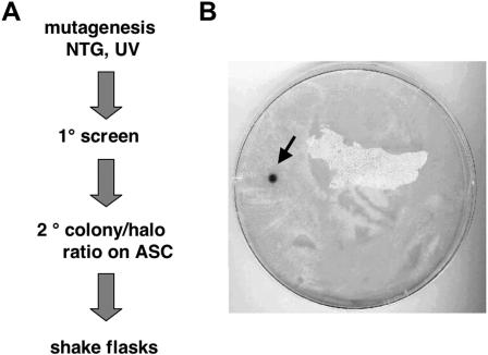 FIG. 4.