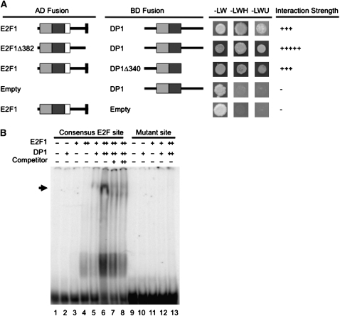 Figure 3.