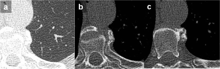 Figure 19.