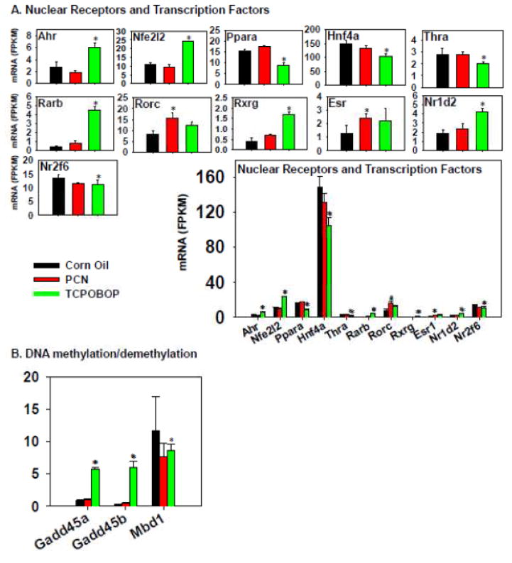 Figure 12