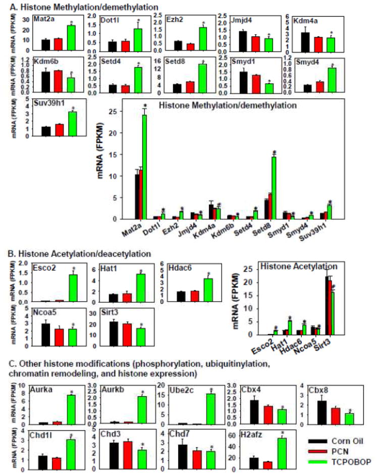 Figure 13