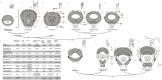 Fig 12