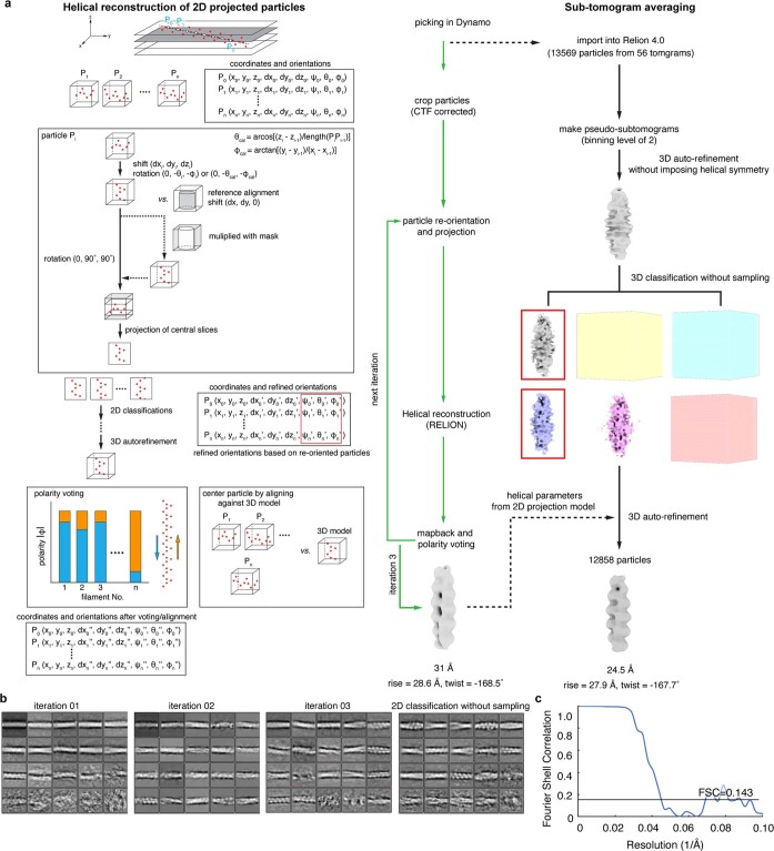 Extended Data Fig. 9