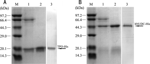 FIGURE 3.