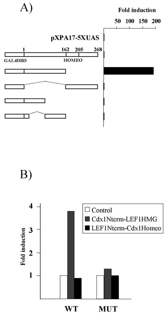 FIG. 5.