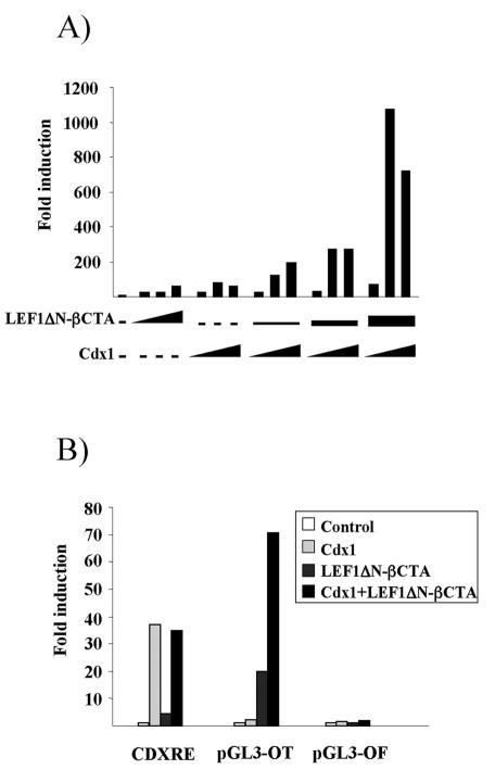 FIG. 2.