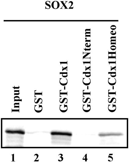 FIG. 8.