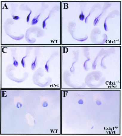 FIG. 7.