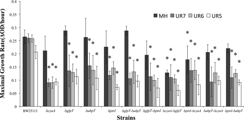 FIG 1