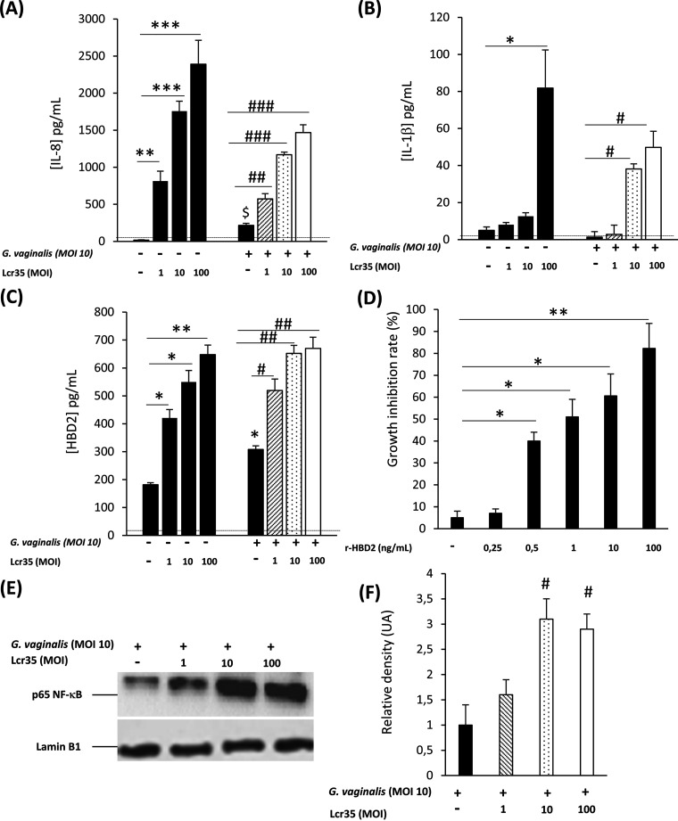 FIG 2