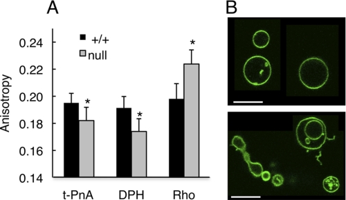 FIGURE 10.