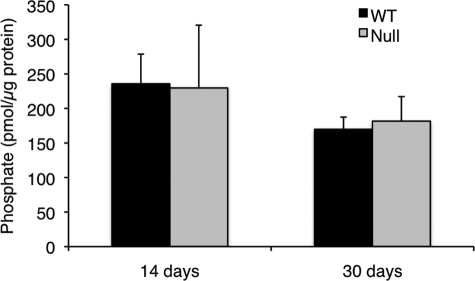 FIGURE 11.