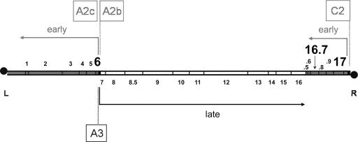 FIG. 1.