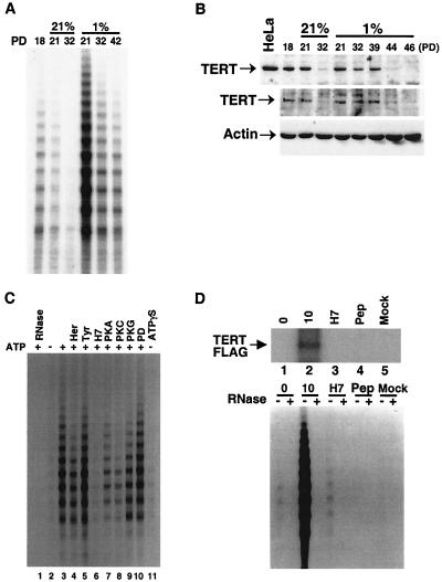 FIG. 5