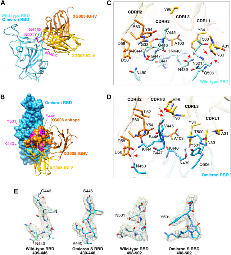 Figure 4