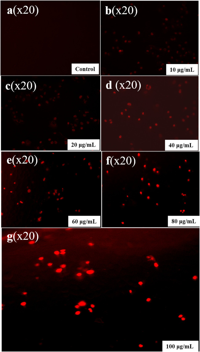 FIGURE 13