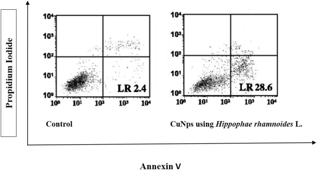 FIGURE 12