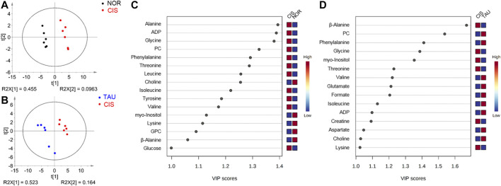 FIGURE 6