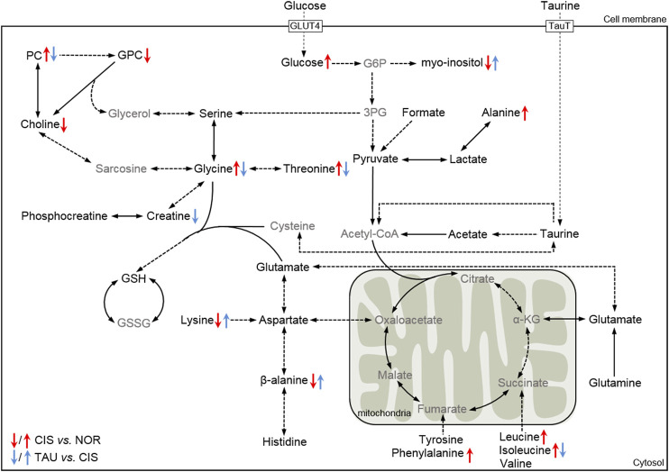 FIGURE 9