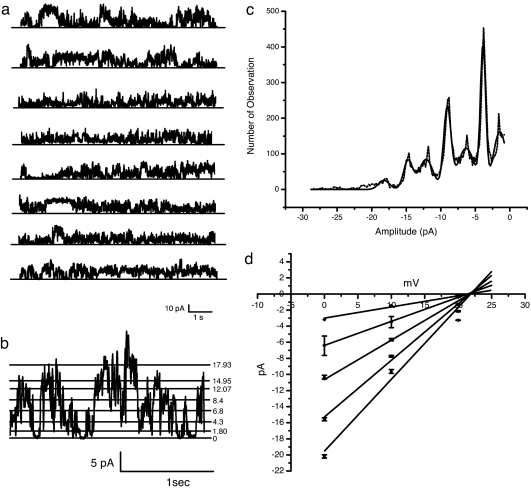 Fig. 2.