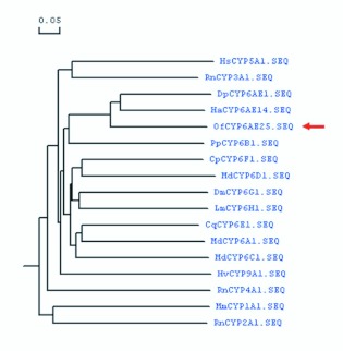 Figure 10. 