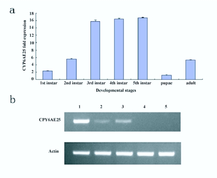 Figure 11. 