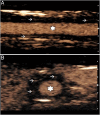 Figure 1