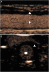 Figure 2