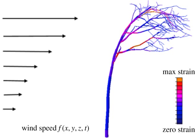 Figure 8.