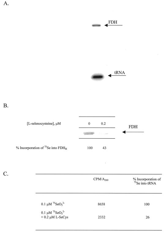 FIG. 5.