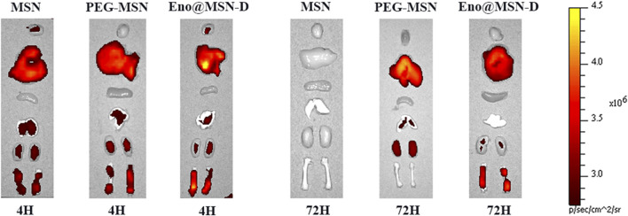 FIGURE 6