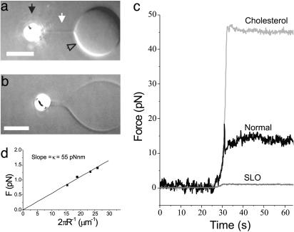 Fig. 3.