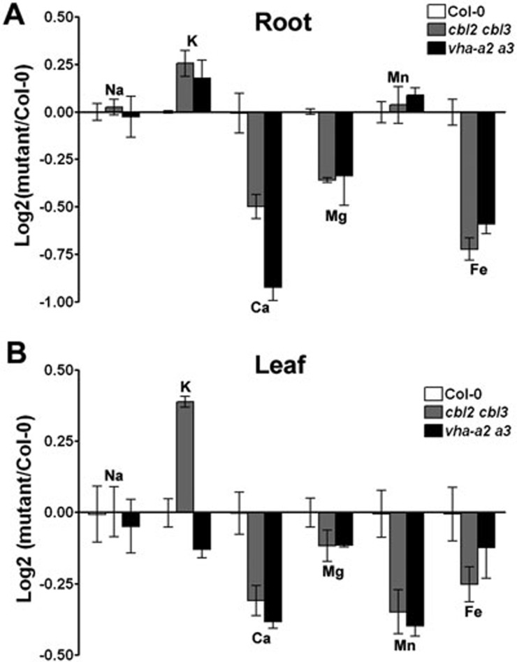 Figure 7