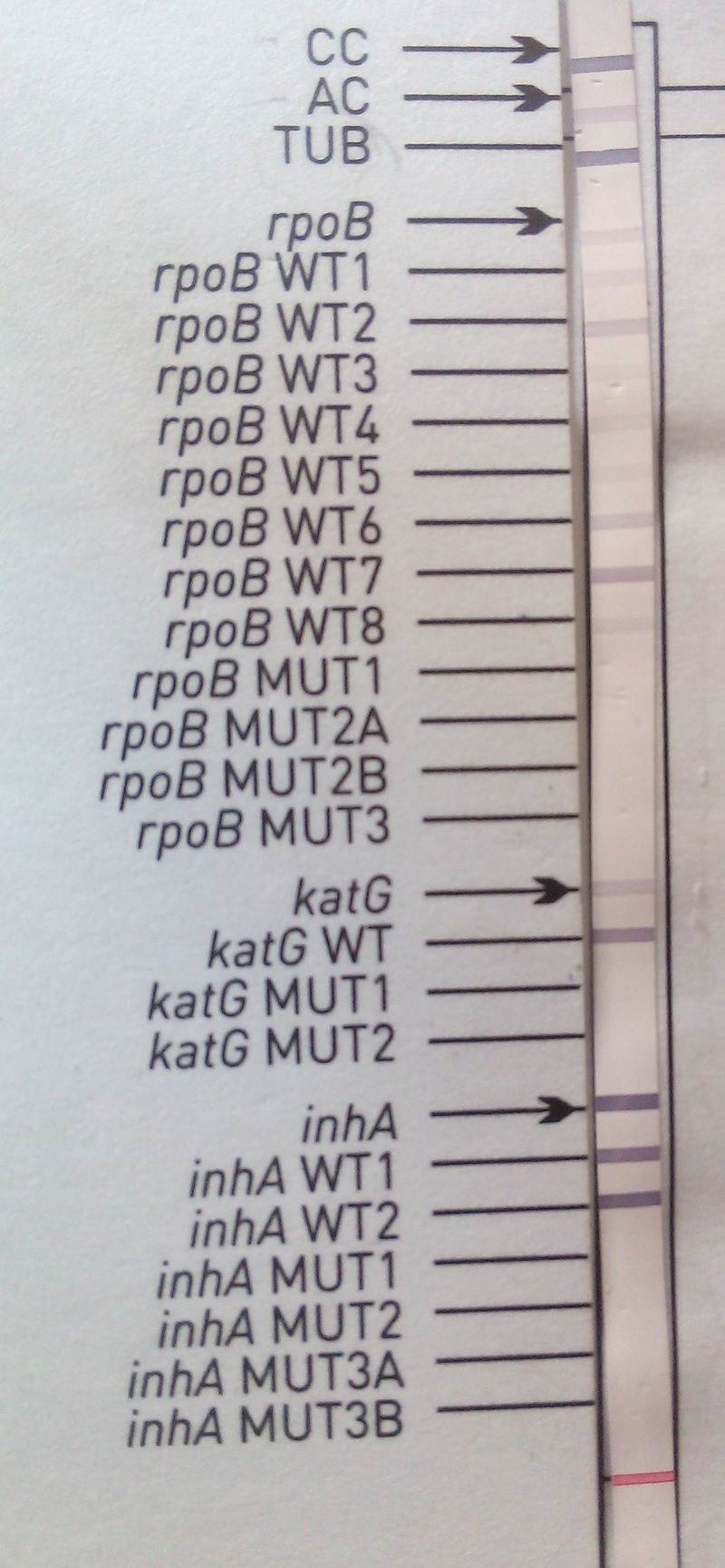 Figure 2