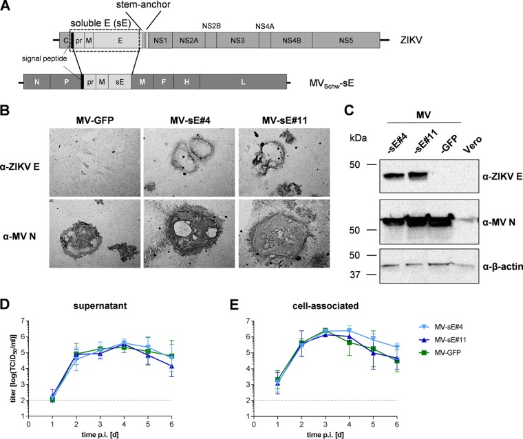 FIG 1