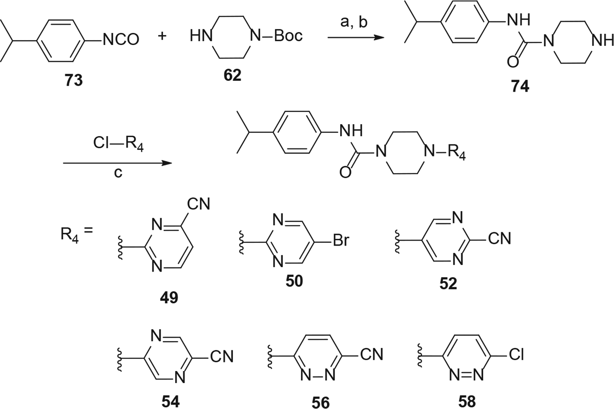 Scheme 5.