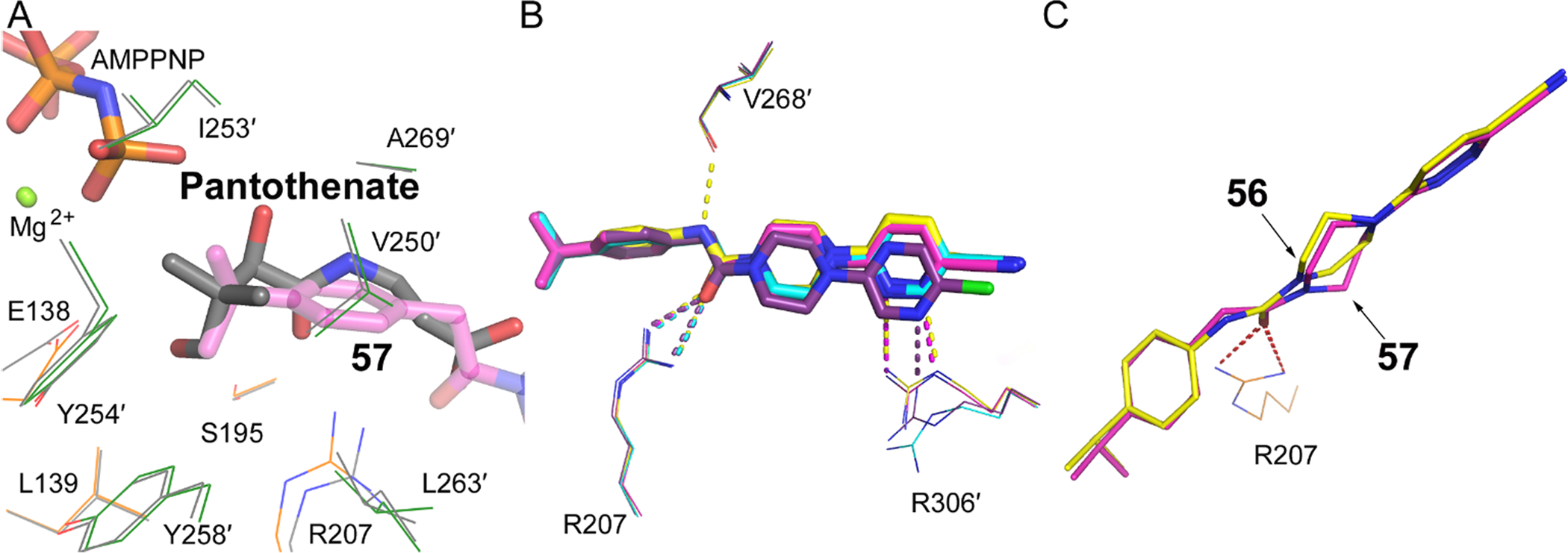 Figure 4.