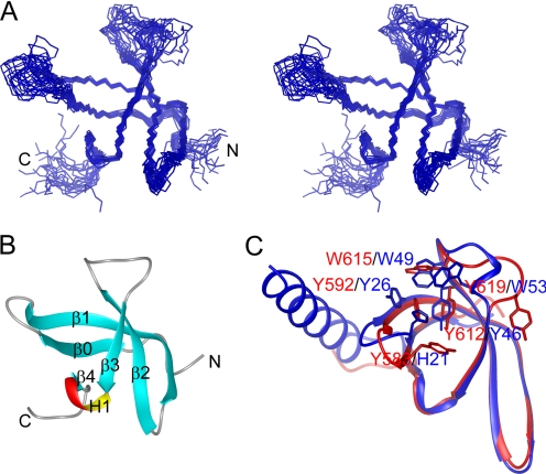 FIGURE 4.