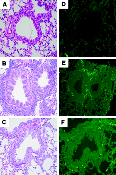 FIG. 10.