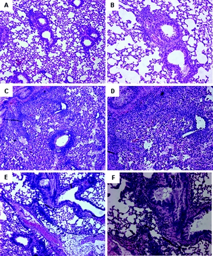 FIG. 8.