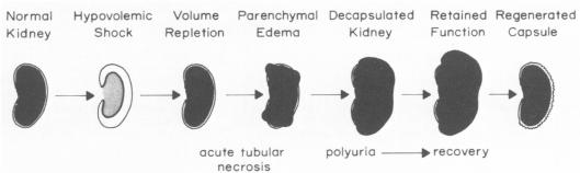 Fig. 9.