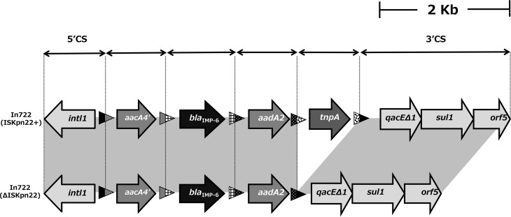 FIG 2