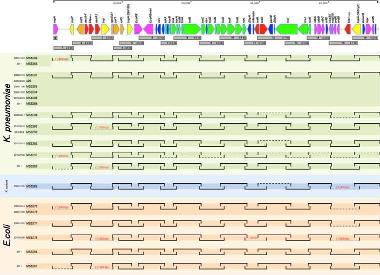 FIG 3