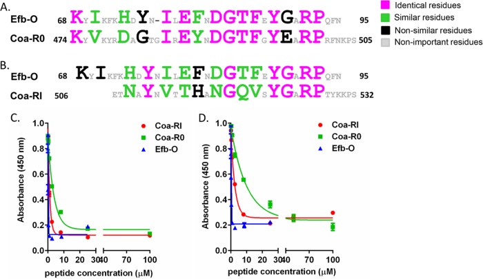 FIG 3 