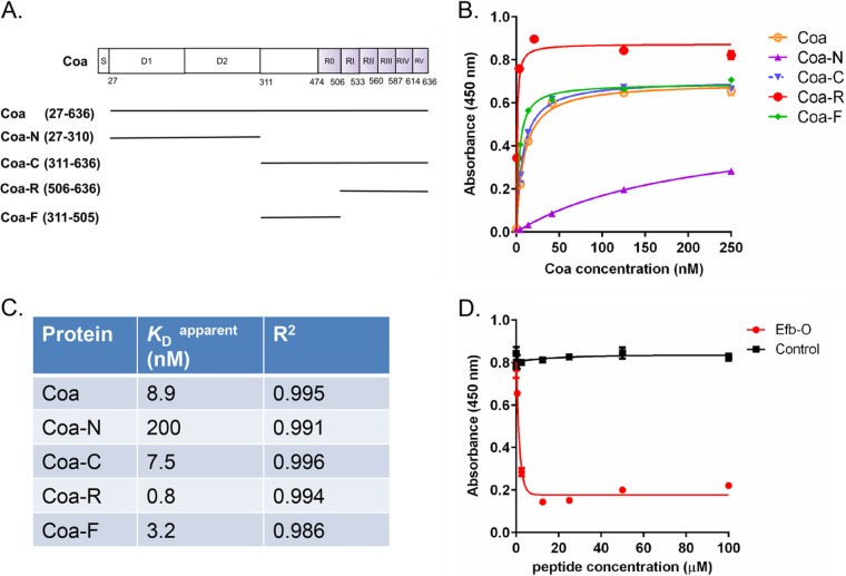 FIG 1 