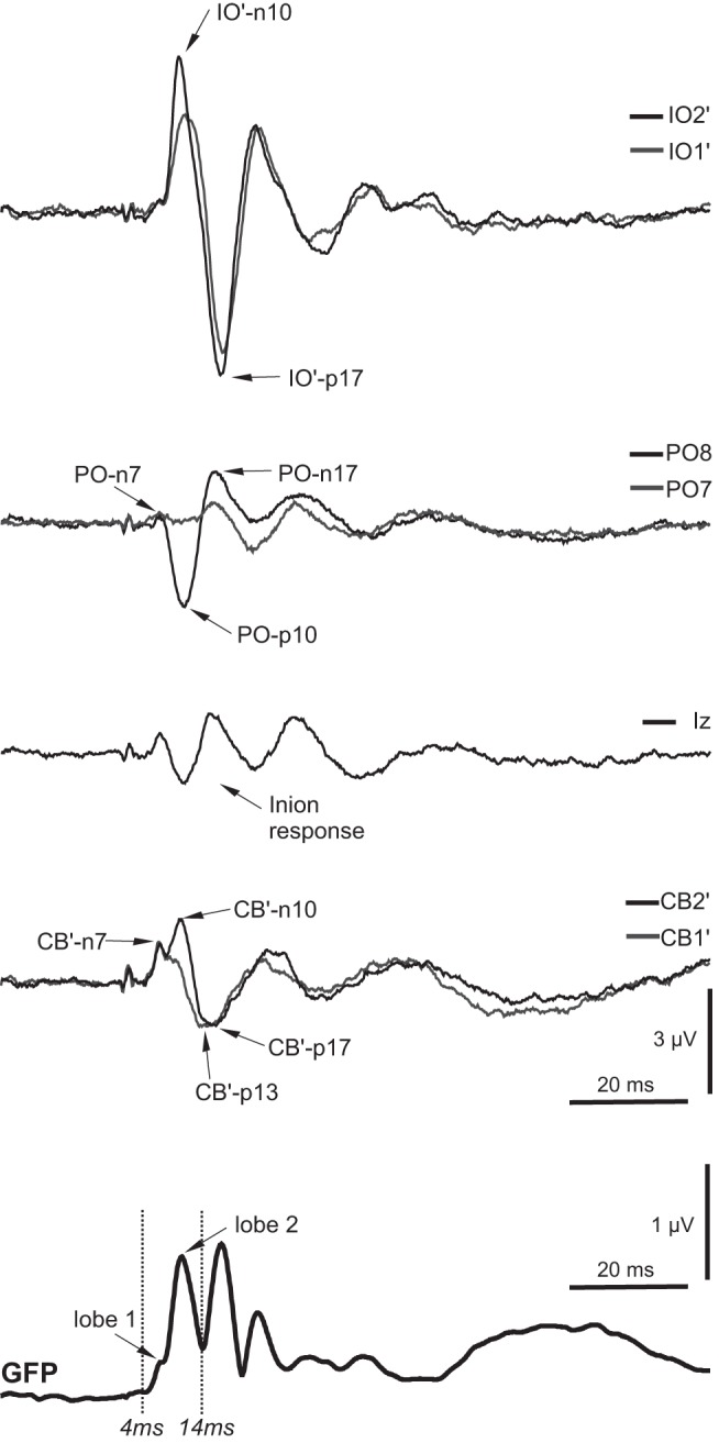 Fig. 7.