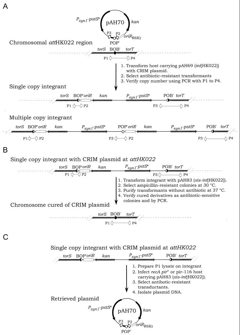 FIG. 4